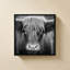 «Cow Nose BW» par Nathan Larson - Impression sur toile-1595956112-1595956127-1595956116