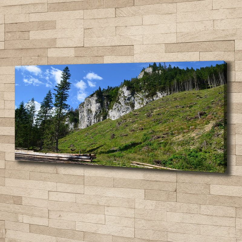 Rocky Peaks - Wrapped Canvas Print