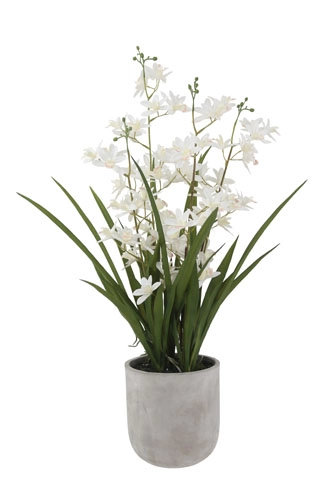 26" Artificial White Orchid in Vanda Pot