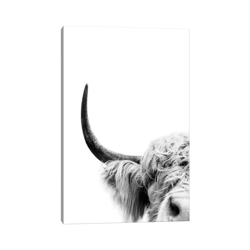 «Peeking Cow II» par Sissi & Seb - reproduction de photo, H 26 po x l 18 po x 1,5 po, Toile tendue, Pas de tapis