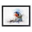 Robin Bird in Abstract - Picture Frame Painting Print-55762698-55762695