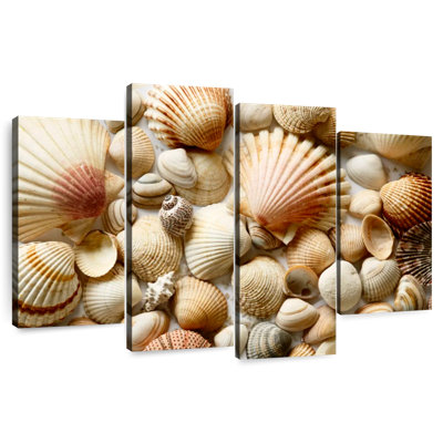 Aletra Various Seashells