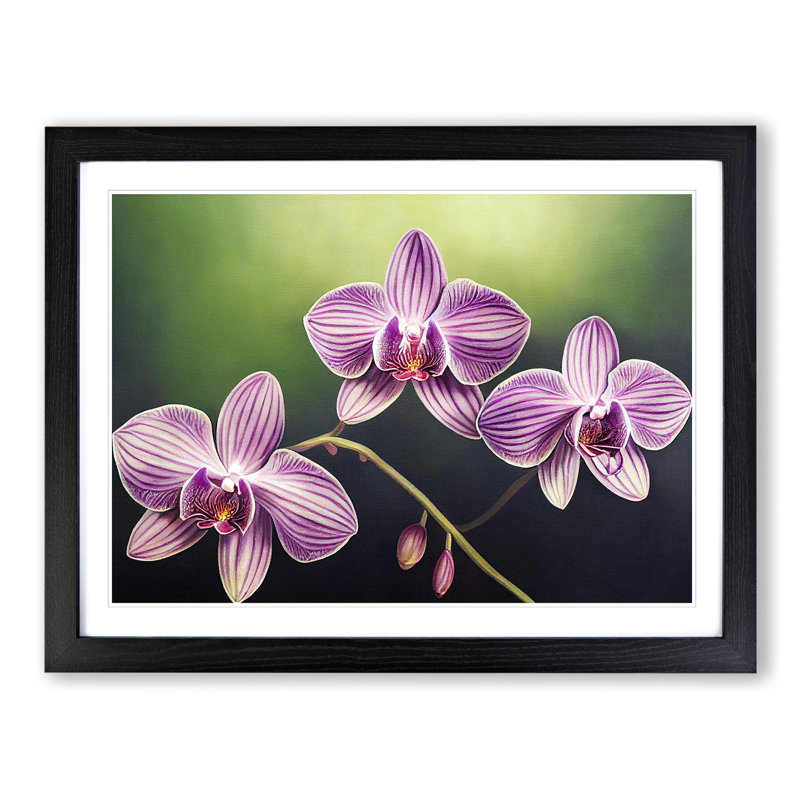 XH1022-8707X Supreme Orchid Flowers - Single Picture Frame Print, Black, 34cm H x 46cm W x 2cm D
