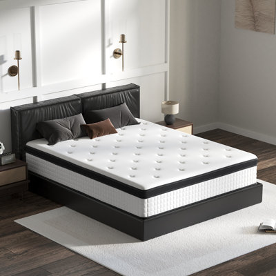 12” Pain Relief Hybrid Mattress with Extra Lumbar & Hip Support - Fiberglass-Free, No Odor, CertiPUR-US Certified, 365-Night Trial Bed in a Box by Alwyn Home