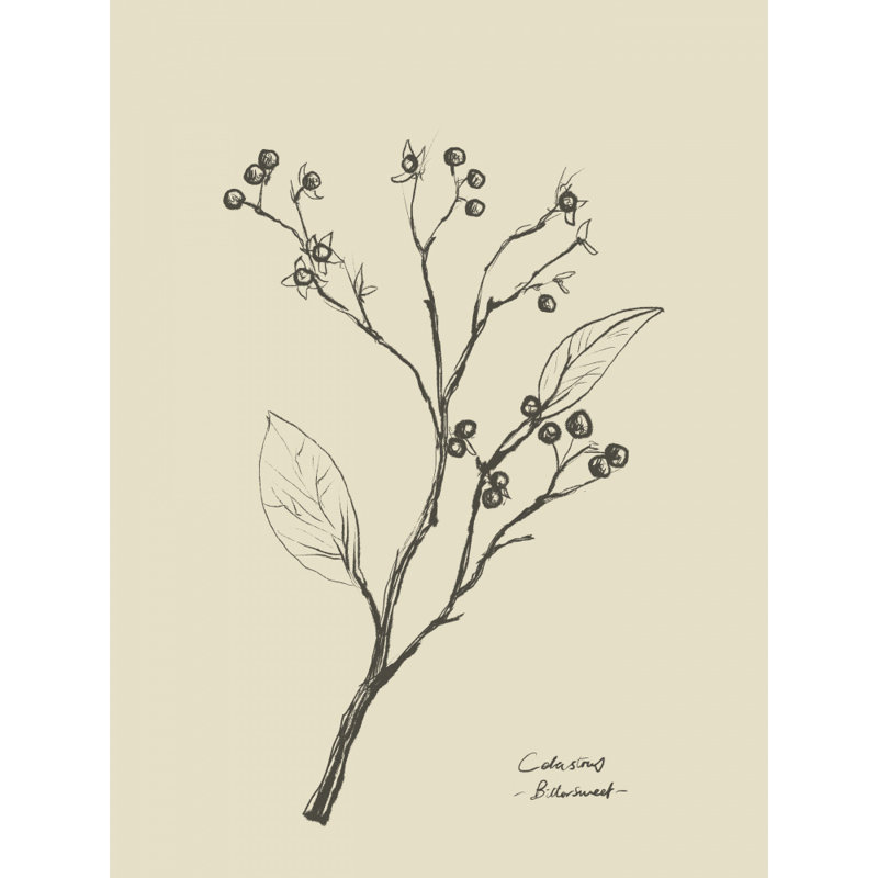 Wrapped Canvas Print, 76.2 cm H x 50.8 cm W