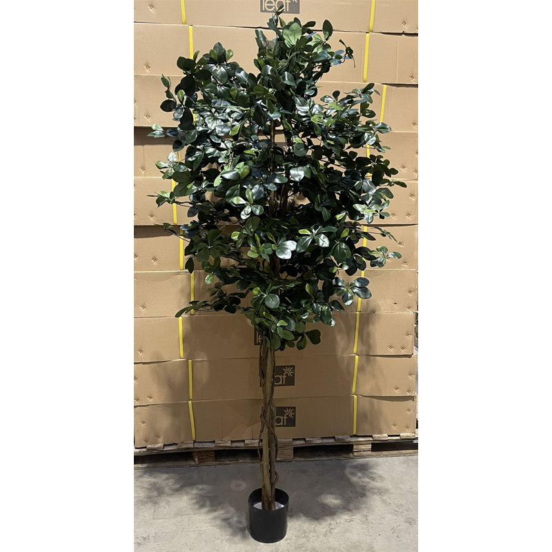 Fire Retardant Artificial Tree 180cm Faux Palm Tree in Pot Liner
