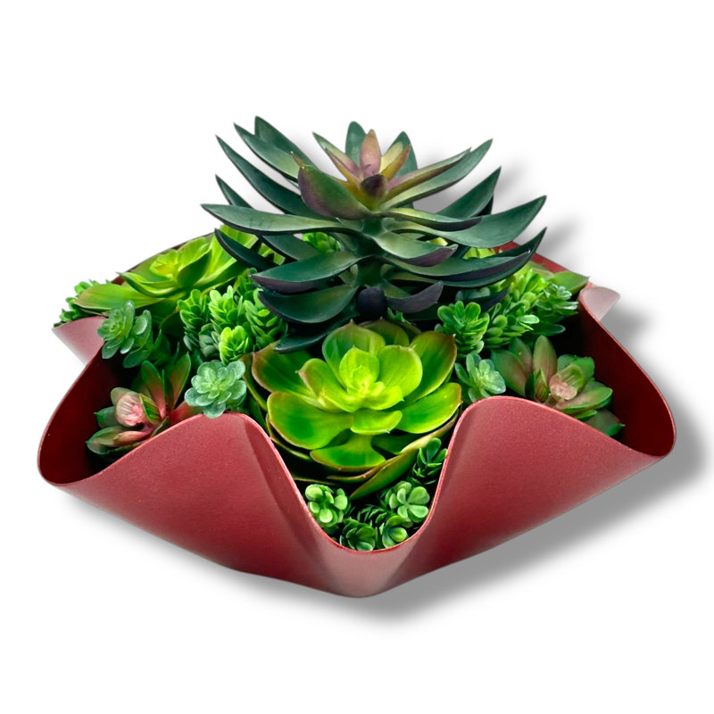 Conception succulente dans un vase en métal ondulé rouge foncé