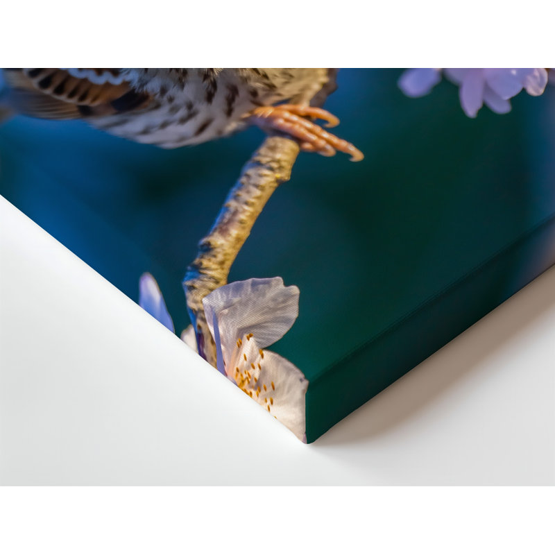 Toile, un charmant petit oiseau perché gracieusement sur une branche délicate, ornée de fleurs de cerisier roses douces