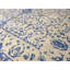 Windsom Oriental Area Rug in Beige/Blue-47856389