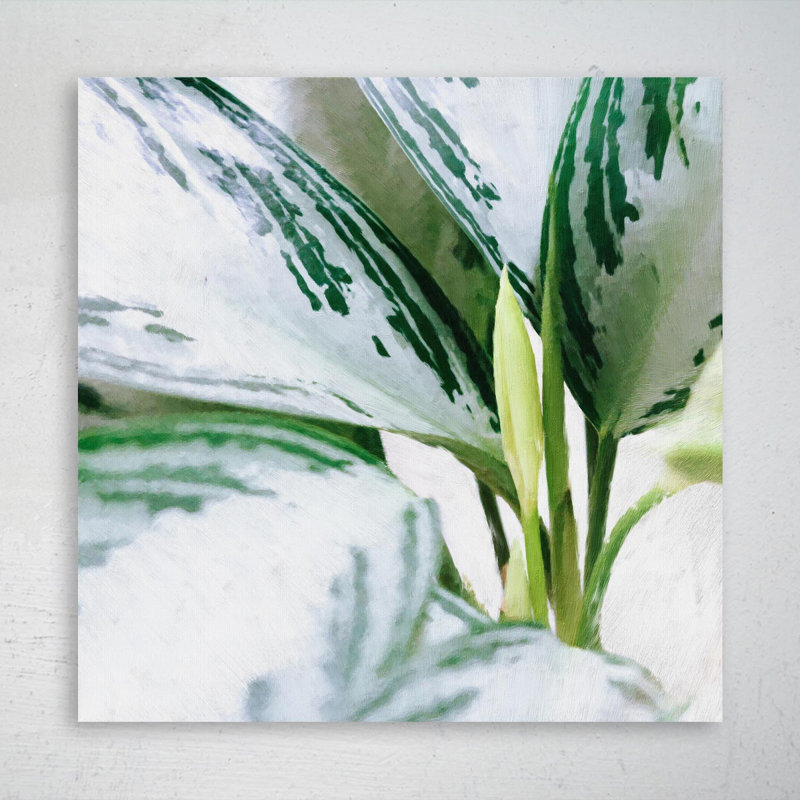 «White And Green Leaf Plant», reproduction d'art graphique sur toile tendue 1 pièce, H 16 po x l 16 po