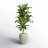 Silvie 48'' Faux Foliage Plant in Ceramic Planter