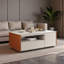 Table basse moderne et multifonctionnelle avec rangement-1354421294