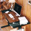 Bureau debout électrique à hauteur réglable avec plateau à crayons Inbox Zero-2020650632-2020650635