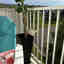 Customer photo 2 of 2