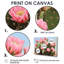 Cactus rose, figue de barbarie à Vegas III - art mural floral cactus-1656973545-1656973459-1656973463