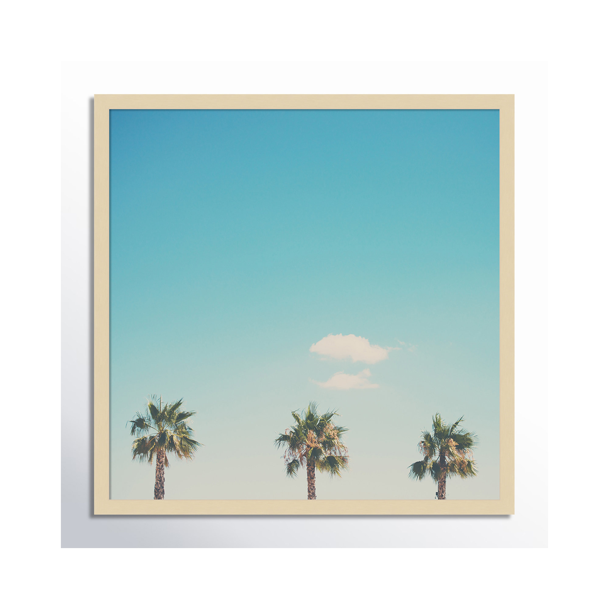 A Trio Of Palm Trees by Laura Evans, 40.38" H x 40.38" W x 0.875" D, Natural Framed