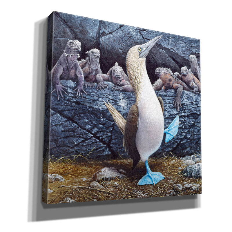 «Epic Graffiti» «Blue Footed Boobies» par Harro Maass, impression sur toile par Harro Maass, L 12 po x H 12 po x P 0,75 po