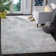 Aubryana Performance Abstract Rug