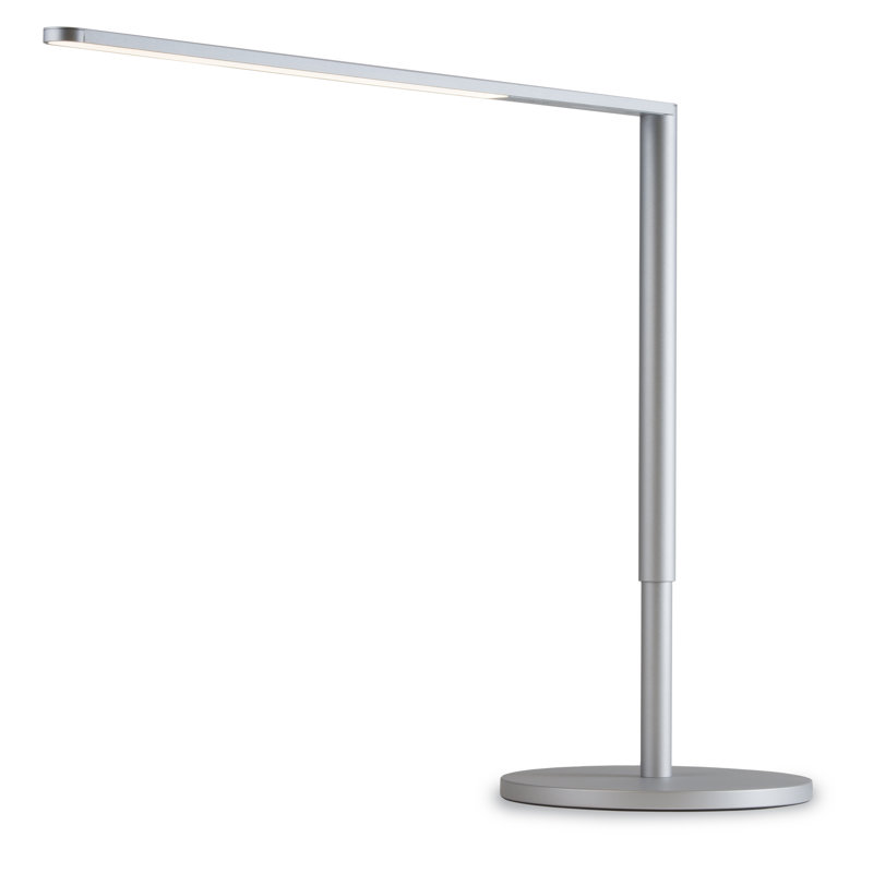 Lady7 Adjustable Metal USB Desk Lamp, Silver