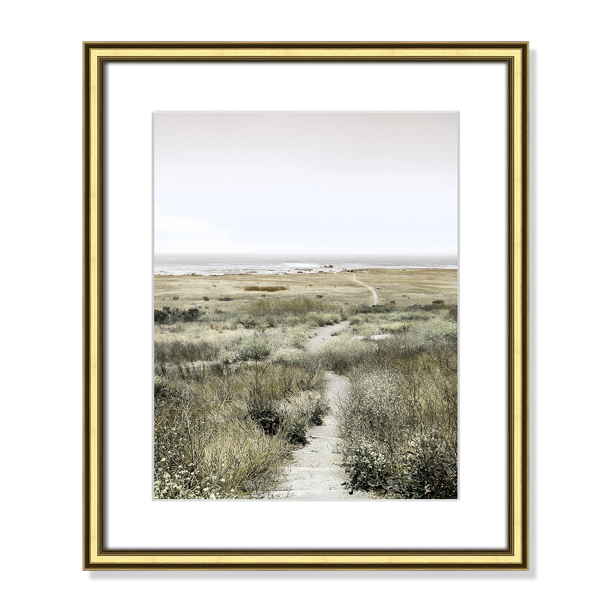 Footpath to Paradise by Danita Delimont - Picture Frame Photograph, 17.25 W x 20.25 H x 0.88 D, Gold