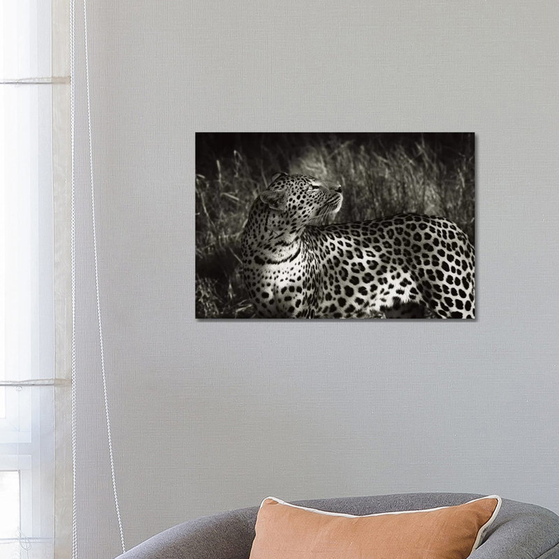 B&W Leopard At Rest by Klaus Tiedge - Wrapped Canvas Print, 66.04 cm H x 45.72 cm W x 1.91 cm D