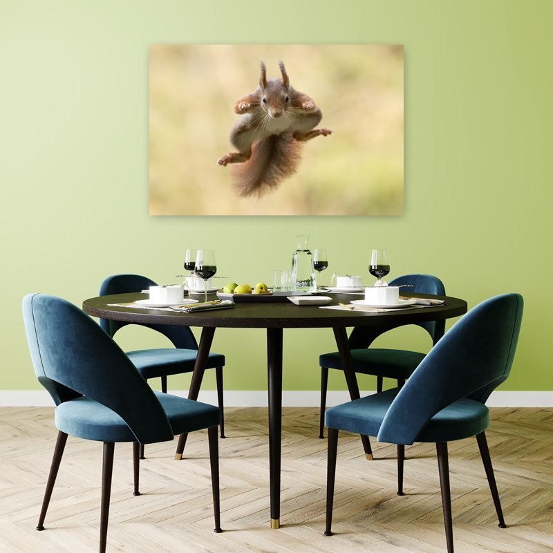 «Red Squirrel Mid-Air Energetic Playful Contemporary Squirrel Forest Nature», reproduction d'art, 32" H x 48" W