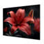 Photo moderne de lys rouges et noirs - art mural lys-2032650125-2032650162