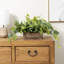 24.89 cm H Faux Pothos Plant in Solid Wood Planter