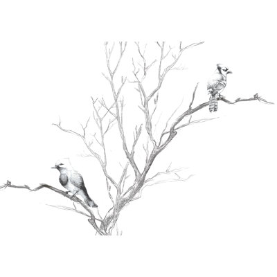 Birdies Notebook - Wrapped Canvas Art Prints