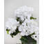 Buisson de géranium artificiel rouge 15 po-1385611569