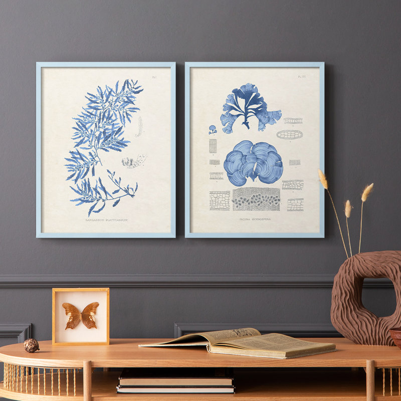 Blue Marine Algae III - reproduction encadrée de qualité supérieure - prête à être accrochée - aucun clou requis - aucun clou requis