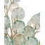 Baobab 3 - Light Candle Wall Light