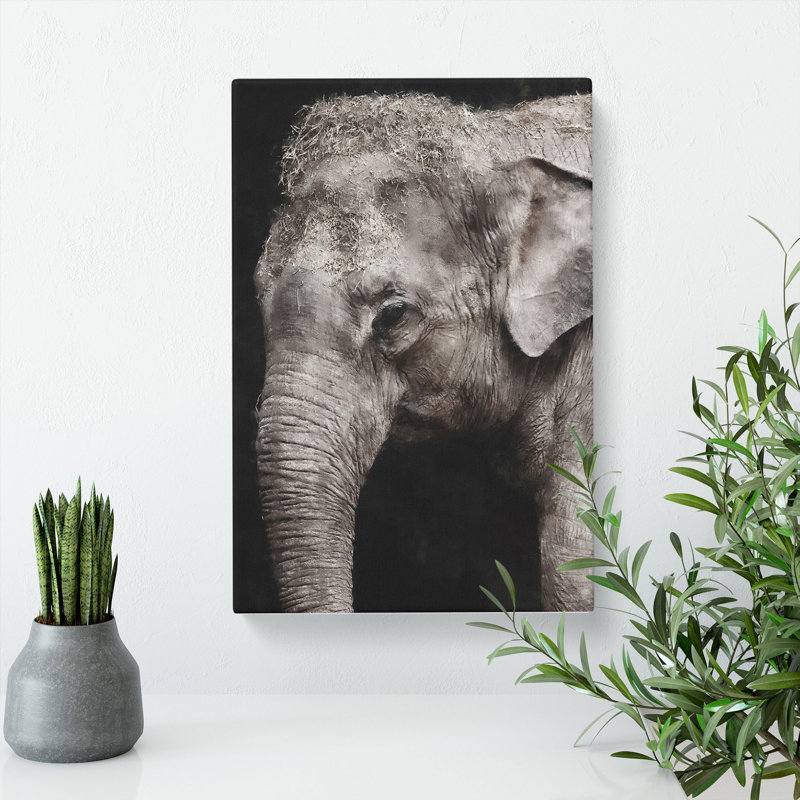 Elephant Vol.3 - Wrapped Canvas, 76cm H x 50cm W x 3cm D