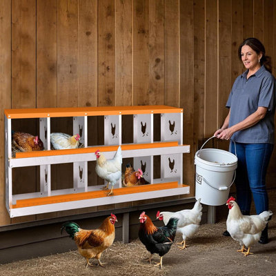 Boîte de nidification pour poulets avec plateau amovible - boîtes en métal pour poules - conception escamotable des œufs, collecteur d'œufs frais de ferme fixé au mur, boîtes de perchoir pour poulaillers