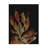Bolog Dan Hobday Night Plant Canvas Art-103094019