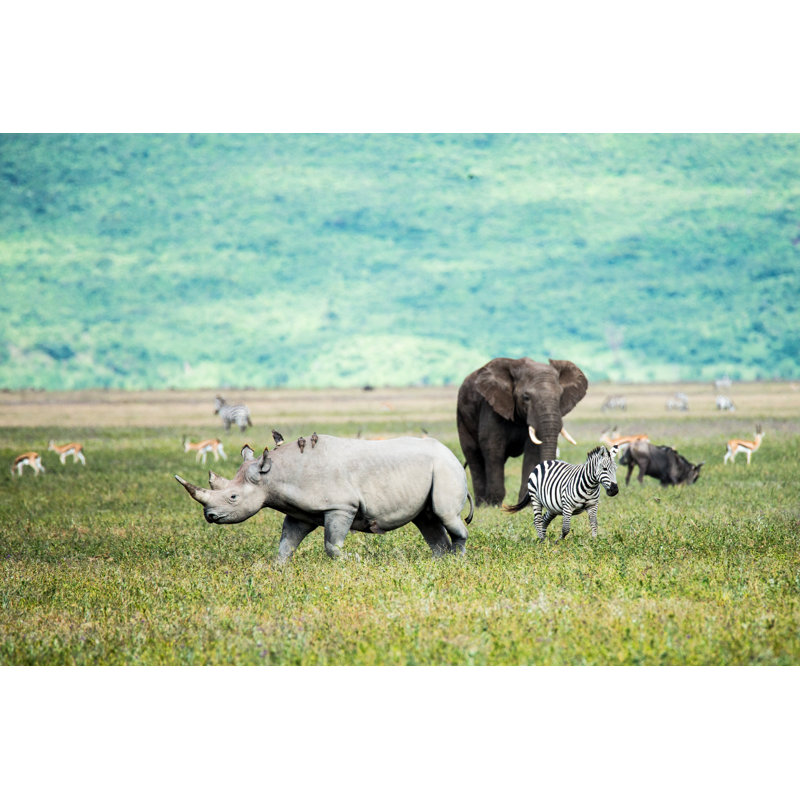 Many Animals On Field - Wrapped Canvas Print, 20cm H x 30cm W