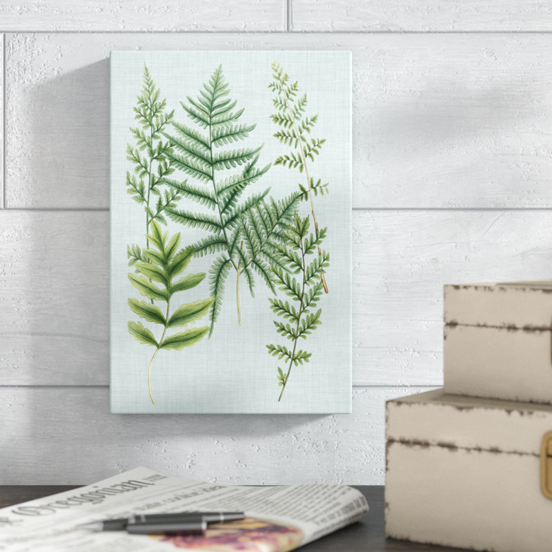 'Spa Ferns I' by Weinmann - Wrapped Canvas Graphic Art Print, 30cm H x 20cm W, Wrapped Canvas