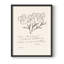 Matisse CCXLII Framed Print - Solid Wood-160950876-160950875