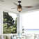 Batts 52'' Ceiling Fan with Light Kit
