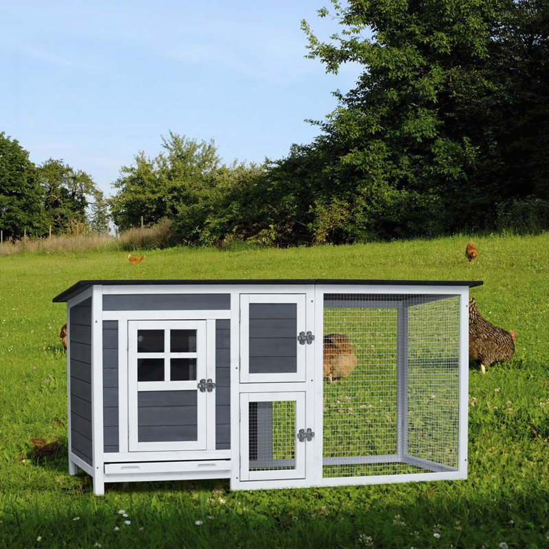 Cage à poulets pour l'extérieur