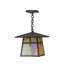 Rustic Lodge 1 - Light Pendant-71739772