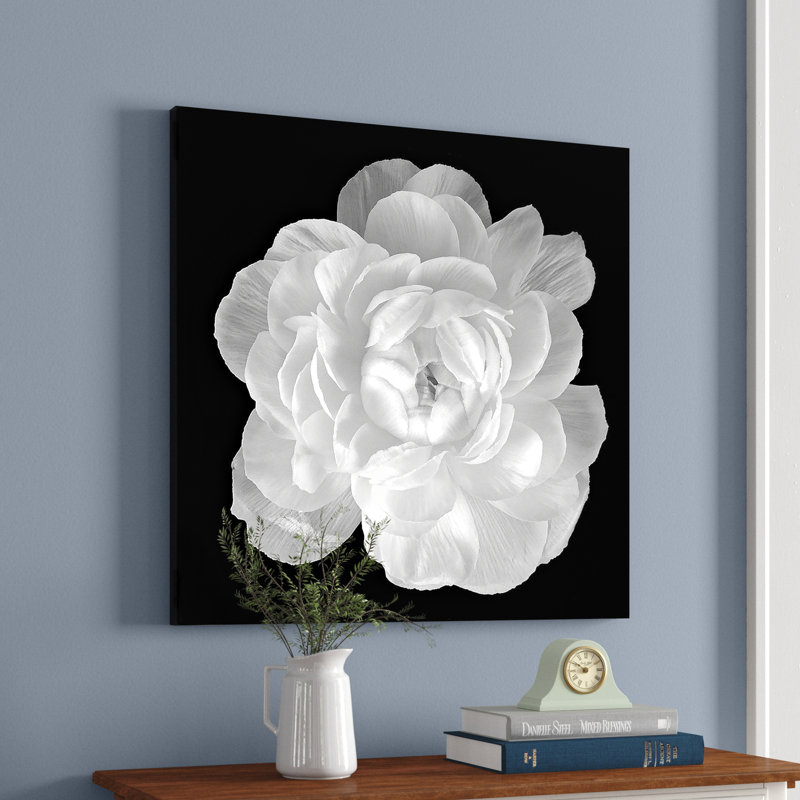 " Ranunculus " by Jonathan Shuff, Canvas, 20" H x 20" W x 1.5" D