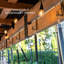 Pavillon de jardin permanent en métal L 6,5 pi. D Pavillon de jardin en bois massif