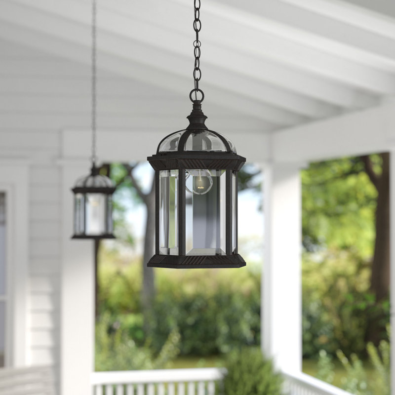 Roscoe 1 -Bulb 13.5" H Outdoor Hanging Lantern, Black