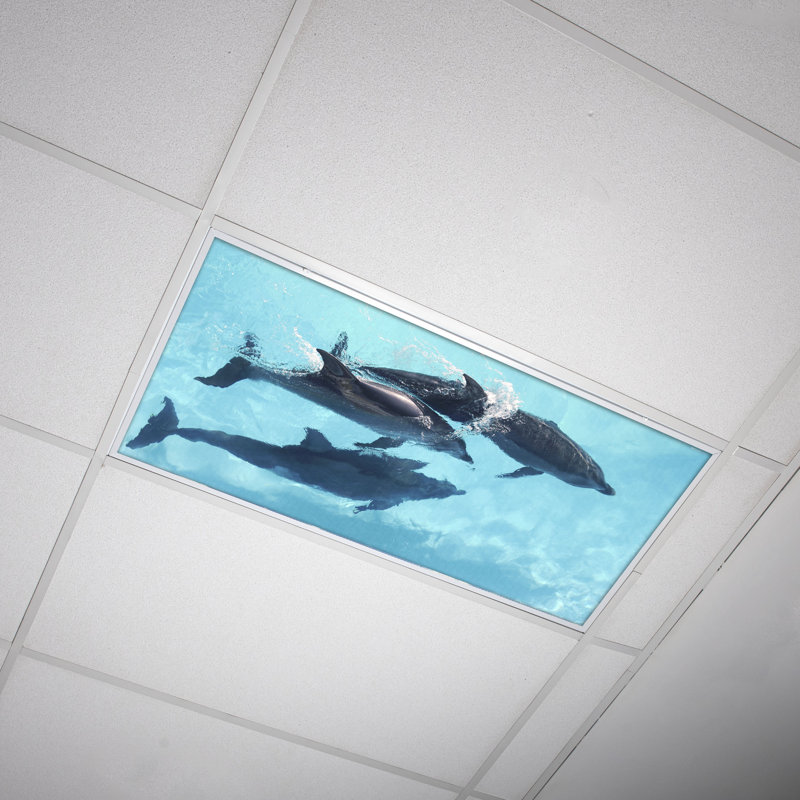 Octo Lights - Fluorescent Light Covers - Flexible Decorative Light Diffuser Panels - Ocean - For Classrooms And Offices - Ocean 003