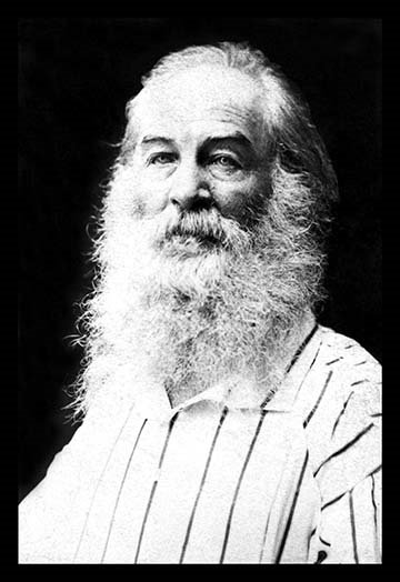 « walt whitman » par mathew brady-reproduction de photo sans cadre, H 36 po x l 24 po x P 1,5 po