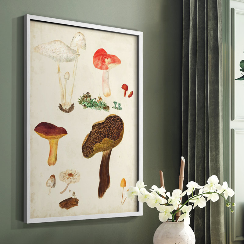 Reproduction encadrée de champignon Mushroom Species, H 28 po x l 22 po, Blanc
