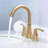 Widespread 2-handle Bathroom Faucet with Drain Assembly-86643910