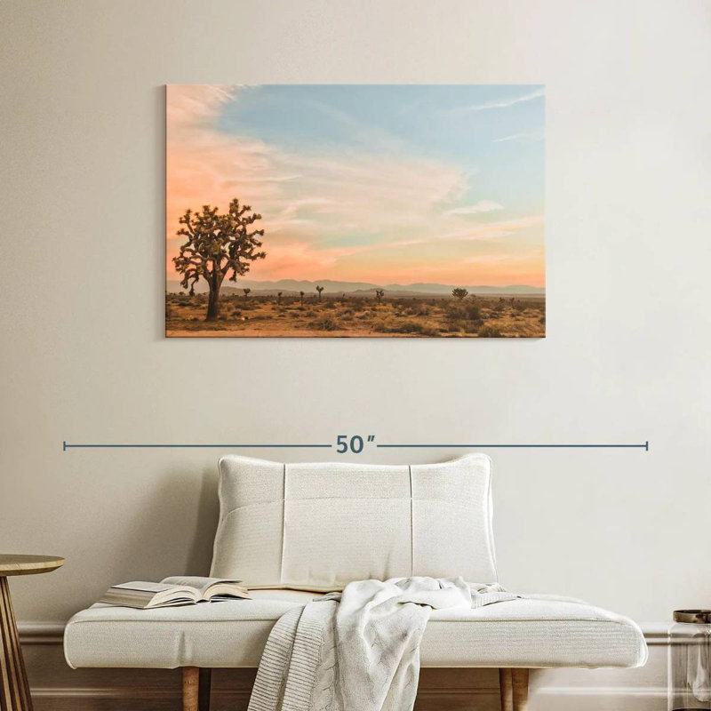Paysage désertique d'Alvord, H 26 po x l 39 po
