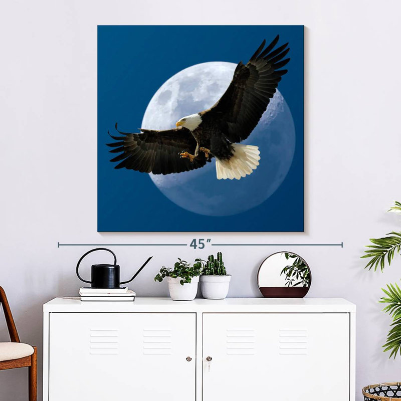 Crowle Midnight Bald Eagle, 33" H x 33" W